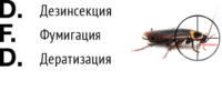 1 1