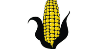 1 1