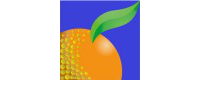 1 1