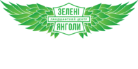 1 1