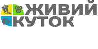 1 1